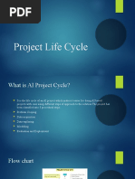 Project Life Cycle