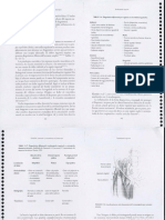 EL TENDON Valoracion y Tratamiento en Fi-181-240