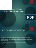 RHM Co Vung Cang Tay Va Ban Tay LEC 1