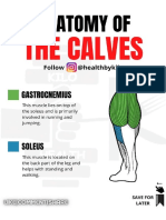 The Calves