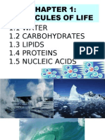 Molecules of Life 1.1 WATER 1.2 Carbohydrates 1.3 Lipids 1.4 Proteins 1.5 Nucleic Acids