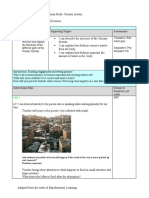 DLP- Urinary system