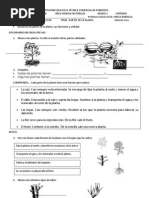 Partes de La Plantas