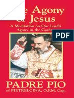 A Agonia de Jesus - Sao Pio de Pietrelcina