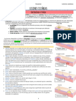 Patologia Lesiones Cutáneas