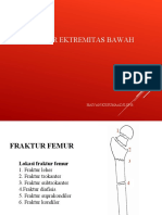 Faktur Ekstremitas Bawah