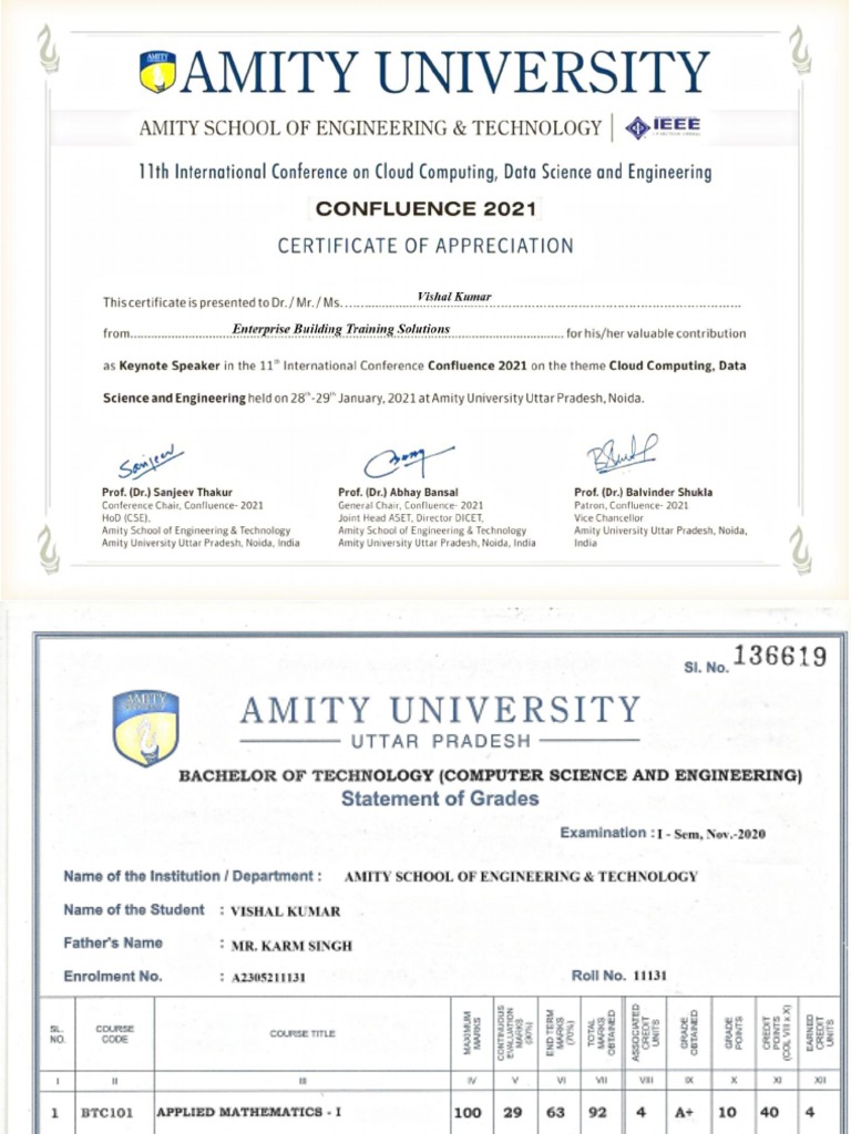 Marksheet Amity | PDF