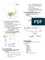 Endocrine Conditions