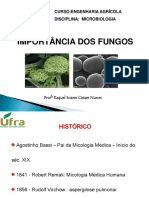 Características Dos Fungos
