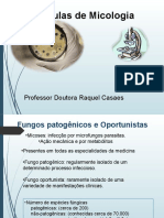 Aulas de Micologia: Fungos Patogênicos e Oportunistas