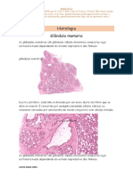 Histologia N2 Atua