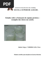 relatorio espuma proteica
