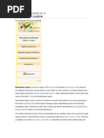 Download Hyderabadi Cuisines by Shaan Khan SN58700880 doc pdf