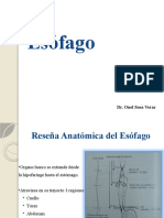2. Esofago.pptx
