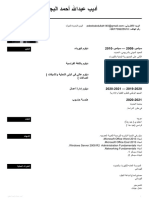 CV in Arabic