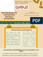 Metabolismo de Nucleotiodos