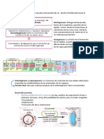 Embriologia 2