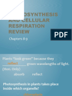 Photosynthesis and Cellular Respiration Review