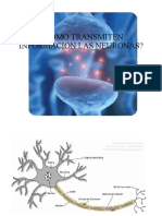 Unicacion de Las Neuronas-1