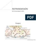 Diapos Neurotransmisión