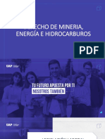 Derecho Minero 15. - Minero