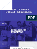 Derecho Minero 11. - Minero