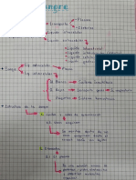 Plasma, componentes sanguíneos y su función