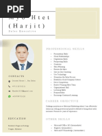 Government Sales Manager Resume A4