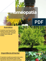 Homeopatia Enraizamento