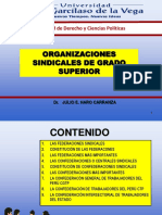 PDF - 7 Organizaciones Sindicales de Grado Superior