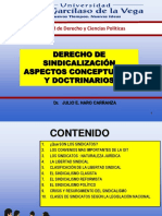 PDF 5. Derecho de Sindicalización. Aspectos Generales