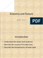 Lecture 2 Anatomy and Posture