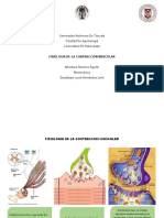 Fisiologia de La Contraccion Muscular