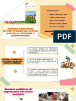CUENTAS ANALÍTICAS DE EXPLOTACIÓN DEL SECTOR AGRÍCOLA, PECUARIO Y AGROPECUARIO PDF - Compressed