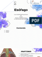 Esófago 2