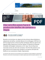 Diez Pasos Sencillos Hacia La Producción Biofloc de Camarón o Tilapia - El Sitio de Los Peces