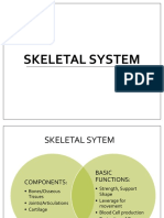 Skeletal System (2015 - 06 - 09 20 - 43 - 48 Utc)