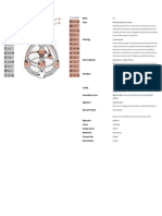 PC Bodygraphchart