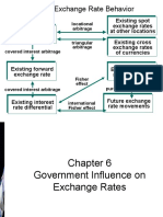 Exchange Rate Systems and Government Interaction