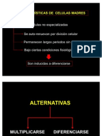 Mecanismo Extraccion y Cultivos de Las Celulas Madre