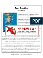 Sea Turtles: by Guy Belleranti