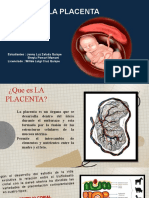 Placenta