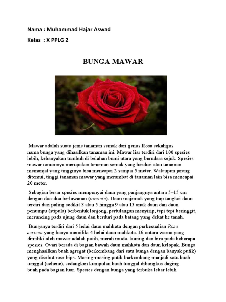 Teks Lho Bahasa Indonesia Pdf