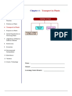 Chapter 4 - Transport in Plants