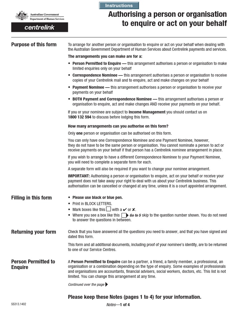 Authority To Act SS313 PDF
