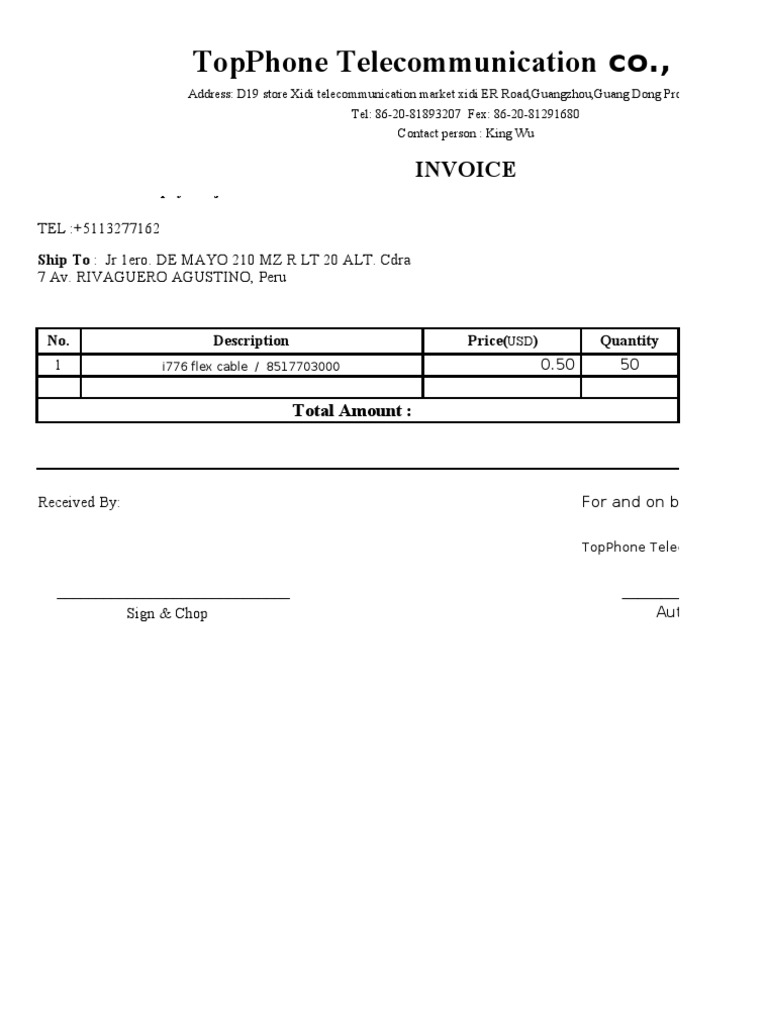 John Huapaya Rojas PI For Custom 110520 | PDF