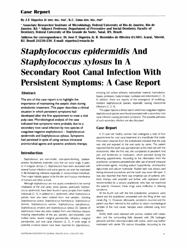 Staphylococcus Epidermidis Staphylococcus Xylosus Secondary Root Case