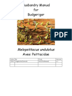 Husbandry Manual For Budgerigar: Melopsittacus Undulatus