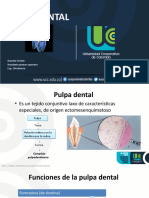 Seminario Pulpa Dental