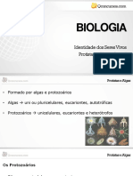 Protistas e Algas: introdução aos principais grupos de protozoários